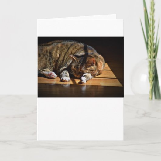 Trage dagen, kaart (Voorkant)