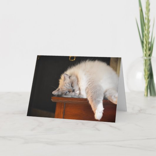 Trage dagen, kaart (Voorkant)