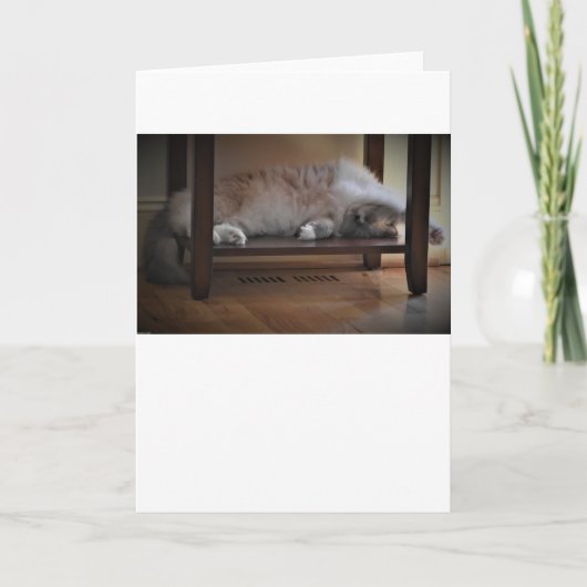 Trage dagen, kaart (Voorkant)