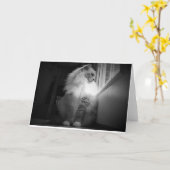 Trage dagen, kaart (Gele Bloem)