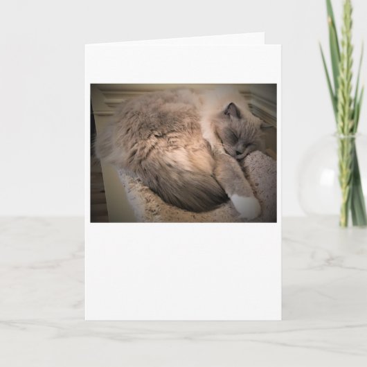 Trage dagen, kaart (Voorkant)