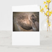 Trage dagen, kaart (Gele Bloem)