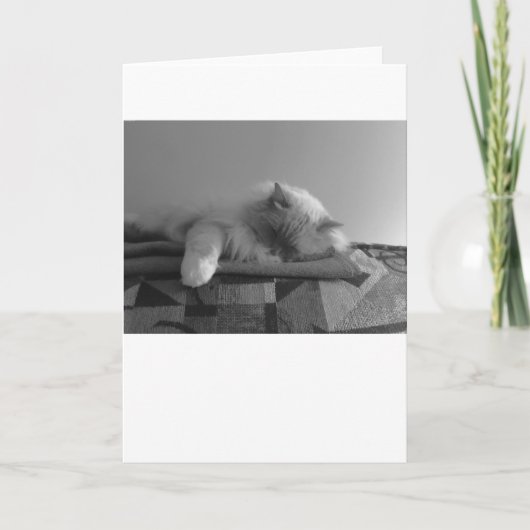 Trage dagen, kaart (Voorkant)