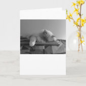 Trage dagen, kaart (Gele Bloem)