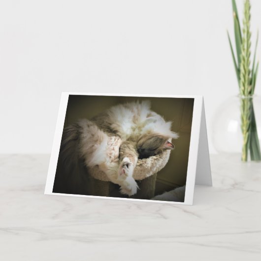 Trage dagen, kaart (Voorkant)