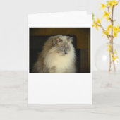 Trage dagen, kaart (Gele Bloem)