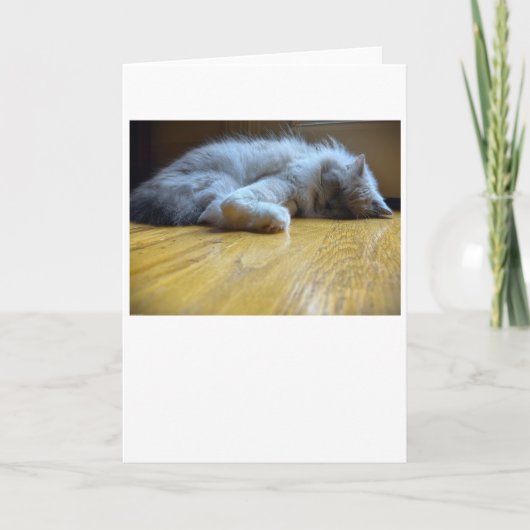 Trage dagen, kaart (Voorkant)