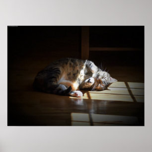 Trage dagen, poster
