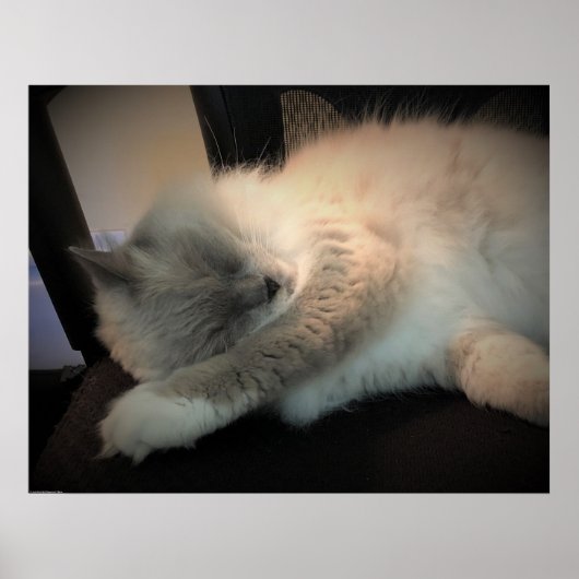 Trage dagen, poster (Voorkant)