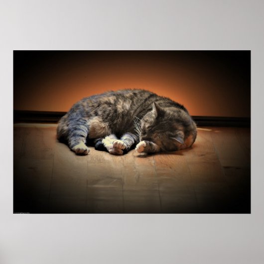 Trage dagen, poster (Voorkant)