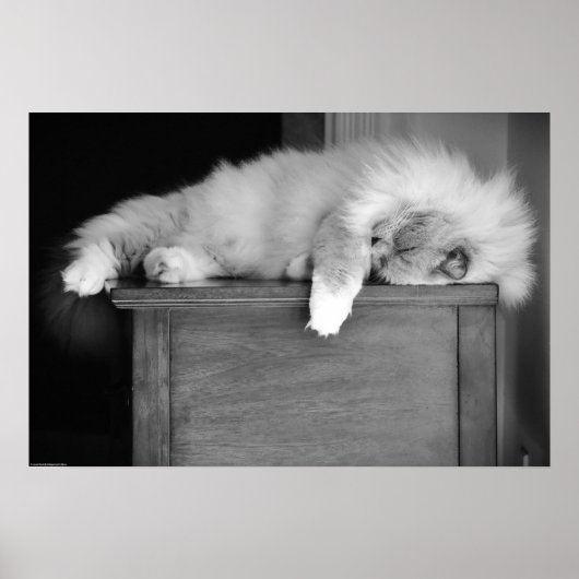 Trage dagen, poster (Voorkant)