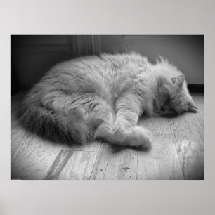 Trage dagen, poster
