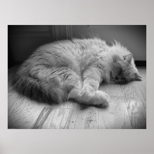 Trage dagen, poster (Voorkant)