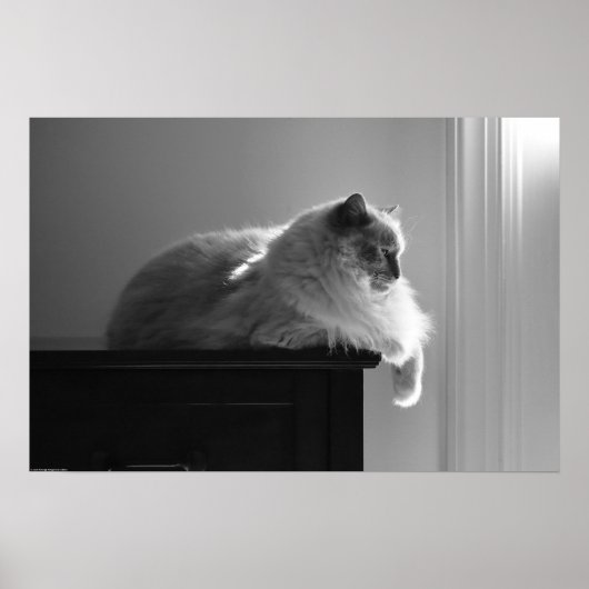 Trage dagen, poster (Voorkant)