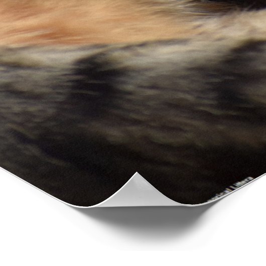 Trage dagen, poster (Hoek)