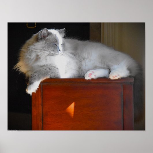 Trage dagen, poster (Voorkant)