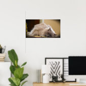 Trage dagen, poster (Thuiskantoor)