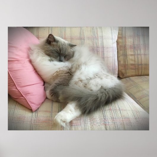 Trage dagen, poster (Voorkant)