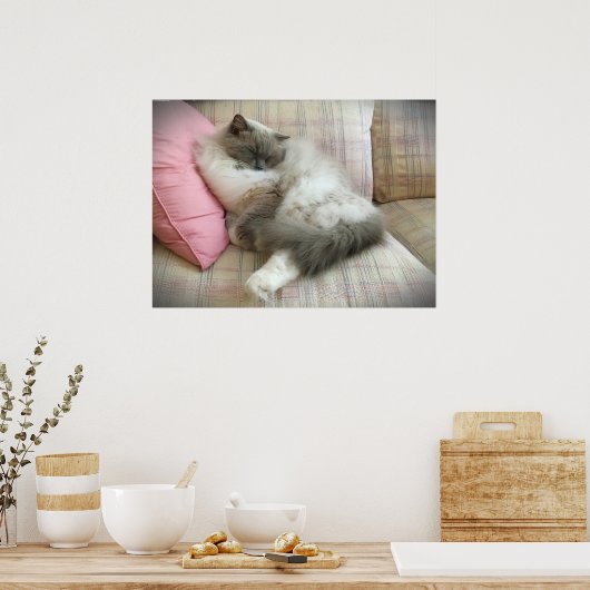 Trage dagen, poster (Keuken)