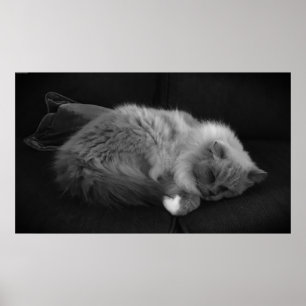 Trage dagen, poster