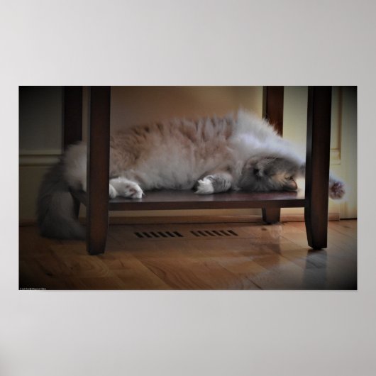 Trage dagen, poster (Voorkant)