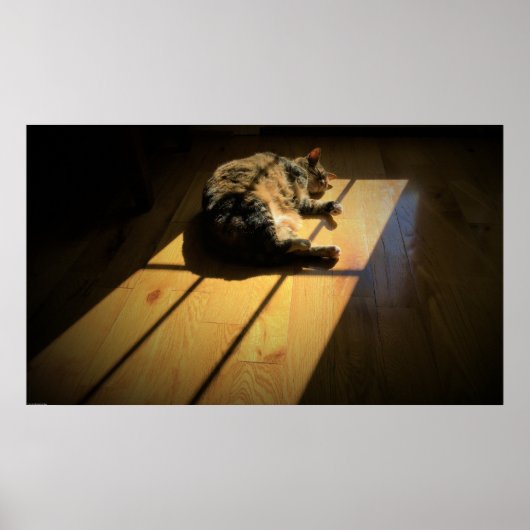 Trage dagen, poster (Voorkant)