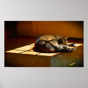 Trage dagen, poster