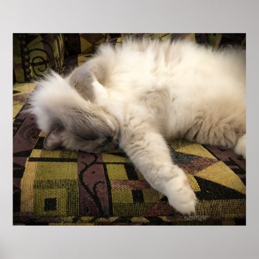 Trage dagen, poster (Voorkant)