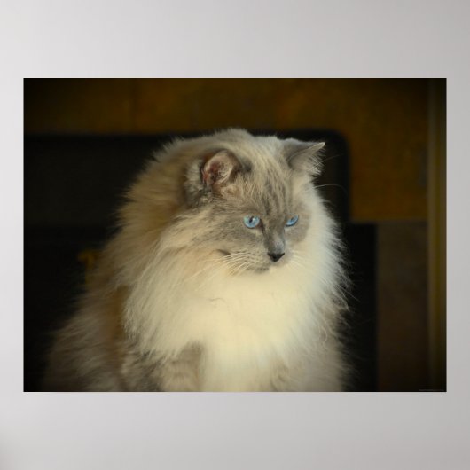 Trage dagen, poster (Voorkant)