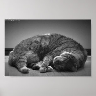 Trage dagen, poster