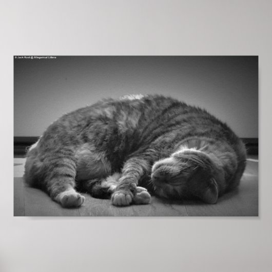 Trage dagen, poster (Voorkant)