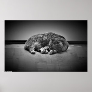 Trage dagen, poster