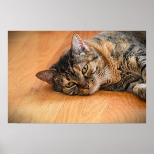 Trage dagen, poster (Voorkant)