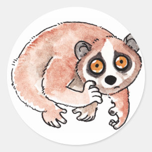 Trage Loris-Stickers Ronde Sticker