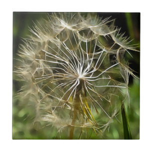 Tragopogon Wildflower Salsify Natuur Lovers Art Tegeltje