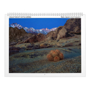 Trail Afbeeldingen Fotografie Agenda Kalender