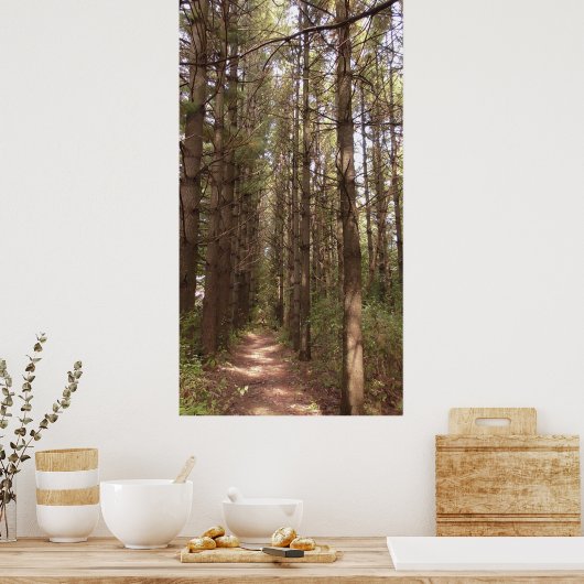 Trail in a Pine Tree Forest Photo Poster (Keuken)