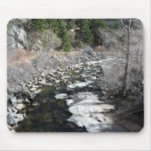 Trail in Jefferson County, Colorado Muismat
