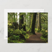 Trail onder Giants Briefkaart (Voorkant / Achterkant)