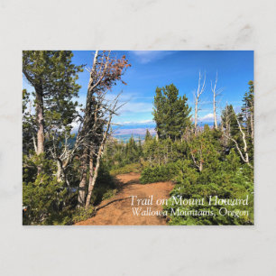 Trail op Mount Howard, OF Briefkaart
