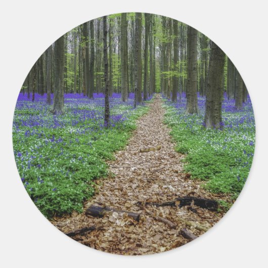 Trail Ronde Sticker (Voorkant)