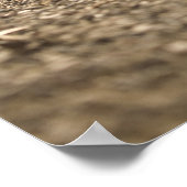 Trail Running Poster (Hoek)