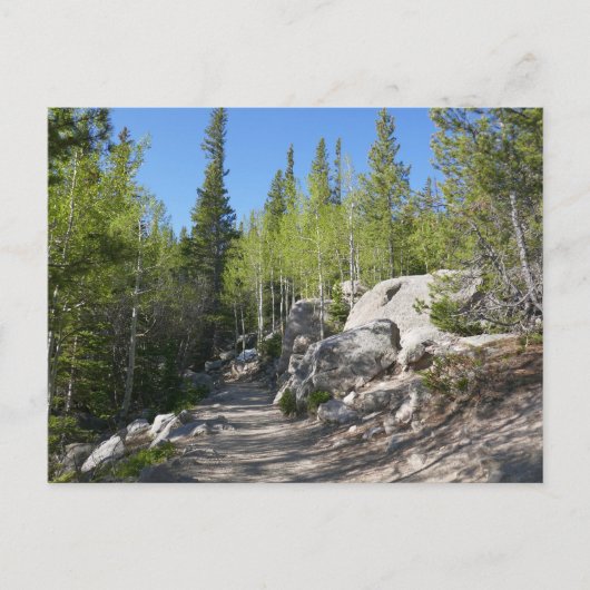 Trail to Alberta Falls Briefkaart (Voorkant)