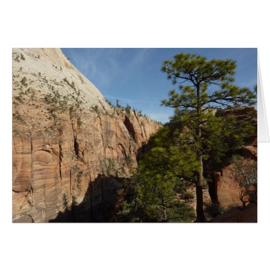 Trail to Angels Landing in Zion National Park (Devant horizontal)
