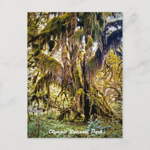 Trail van het Olympisch Park Briefkaart