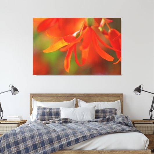 Trailend Oranje Begonia Canvas Afdruk (Insitu (Slaapkamer))