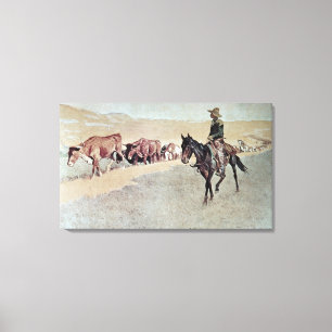 Trailing Texas Longhorns (olie op doek) Canvas Afdruk