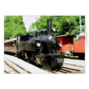 Train au musée ferroviaire Chamby