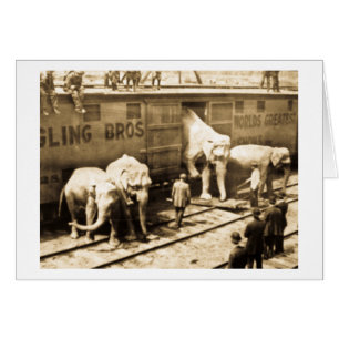 Train d'éléphant de Ringling Bros de glissière 