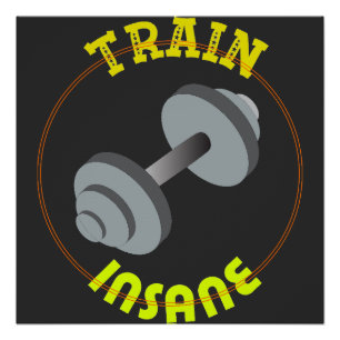 Train Insane Gym en Fitness Poster Perfect Poster